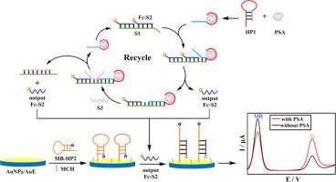 A highly sensitive ratiometric electrochemical aptasensor for prostate specific antigen detection based on toehold-mediated strand displacement reaction