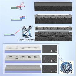 Sample preparation matters: Scanning electron microscopic characterization of polymeric membranes