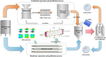 Feasibility study on the separation and purification of sinomenine hydrochloride from Caulis sinomenii solution based on membrane ultrafiltration technology