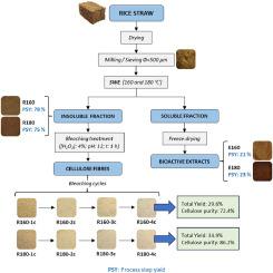 Combining subcritical water extraction and bleaching with hydrogen peroxide to obtain cellulose fibres from rice straw