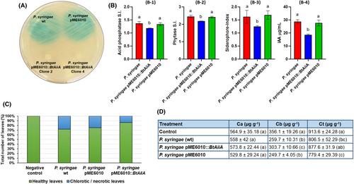 Potential of the quorum-quenching and plant-growth promoting halotolerant Bacillus toyonensis AA1EC1 as biocontrol agent