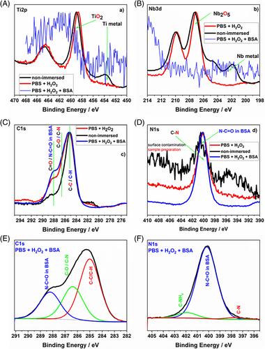 Albumin suppresses oxidation of TiNb alloy in the simulated inflammatory environment