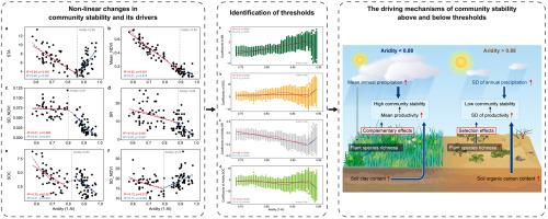 Divergent driving mechanisms of community temporal stability in China's drylands