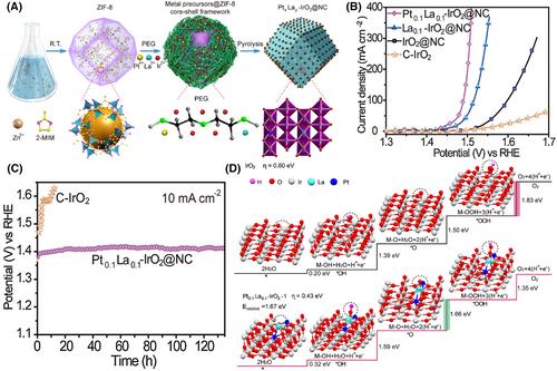 Dual doping: An emerging strategy to construct efficient metal catalysts for water electrolysis