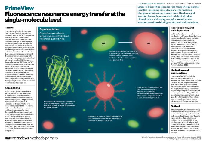 Fluorescence resonance energy transfer at the single-molecule level