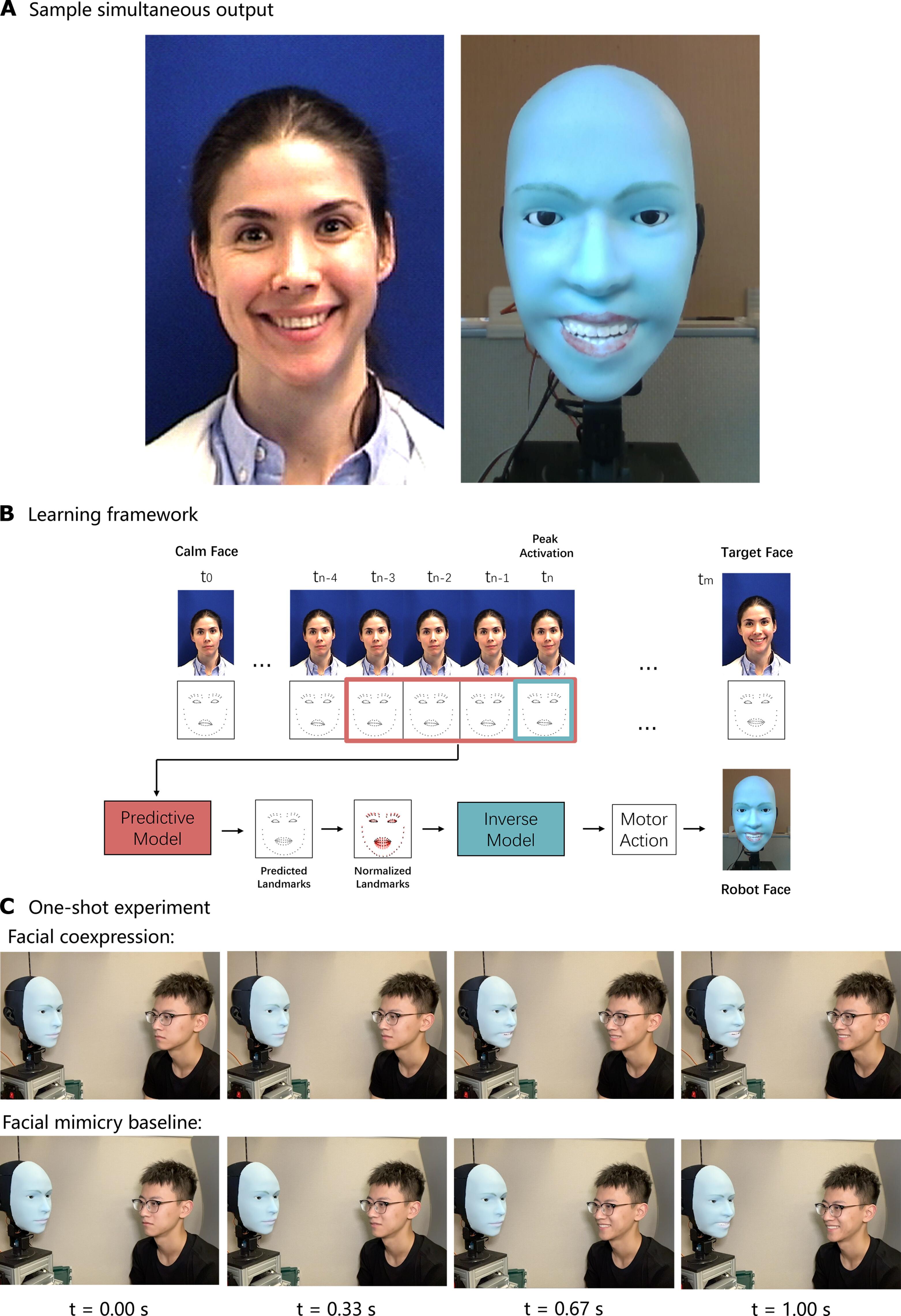 Human-robot facial coexpression