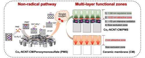 Cobalt single-atom catalyst tailored ceramic membrane for selective removal of emerging organic contaminants