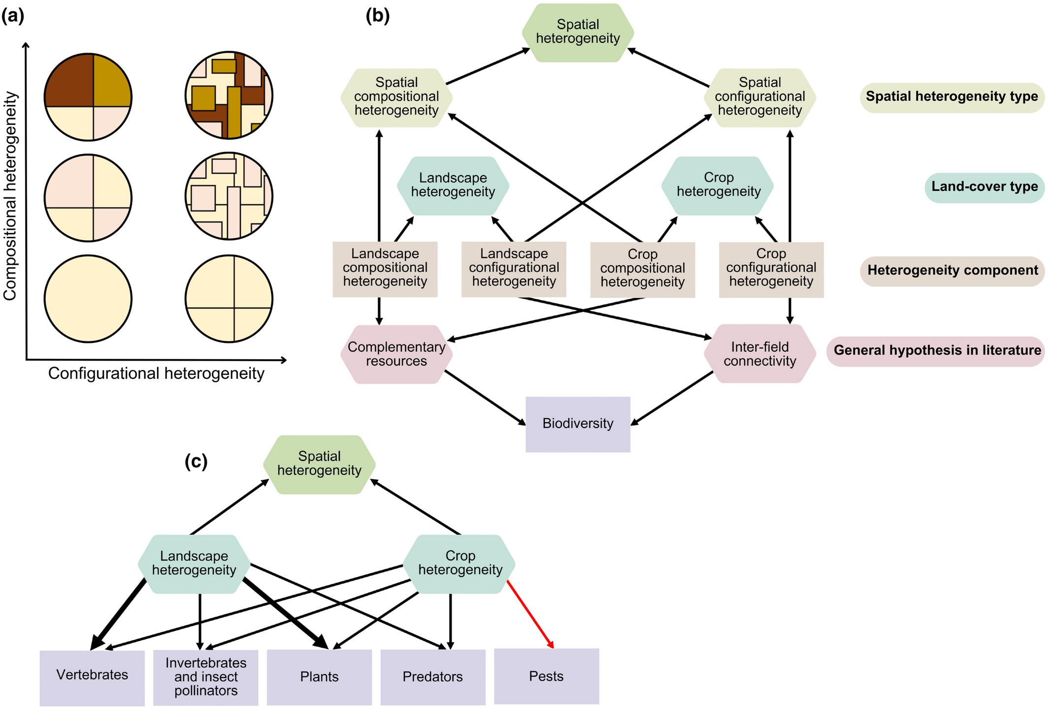 Crop and landscape heterogeneity increase biodiversity in agricultural landscapes: A global review and meta-analysis