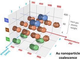 Molecular dynamics investigation of gold nanoparticle coalescence under realistic gas-phase synthesis conditions