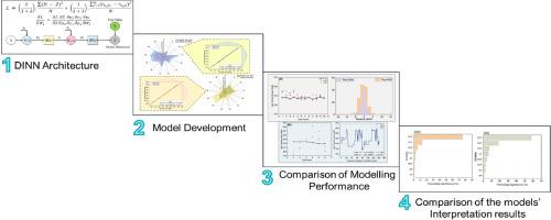 Data Information integrated Neural Network (DINN) algorithm for modelling and interpretation performance analysis for energy systems