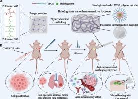 Halofuginone-guided nano-local therapy: Nano-thermosensitive hydrogels for postoperative metastatic canine mammary carcinoma with scar removal