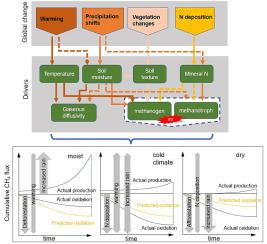 Quantification and uncertainty of global upland soil methane sinks: Processes, controls, model limitations, and improvements