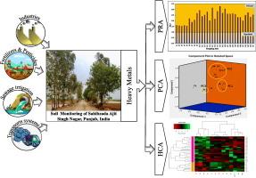 Pollution status and health risk assessment of heavy metals in the soil of Sahibzada Ajit Singh (SAS) Nagar district of Punjab, India and its source apportionment