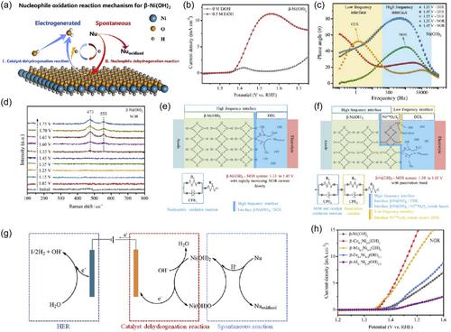 Electrochemical alcohol oxidation reaction on Precious-Metal-Free catalysts: Mechanism, activity, and selectivity