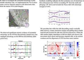 Constraining seismic anisotropy on the mantle transition zone boundaries beneath the subducting Nazca slab