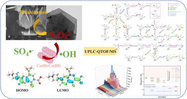 Photocatalytic degradation of enrofloxacin with CoAl-LDH mediated persulfate system: Efficiency evaluations and reaction pathways