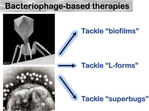 What is the role of microbial biotechnology and genetic engineering in medicine?