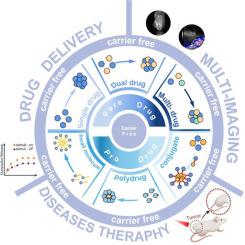 Carrier-free nanomedicines: Mechanisms of formation and biomedical applications