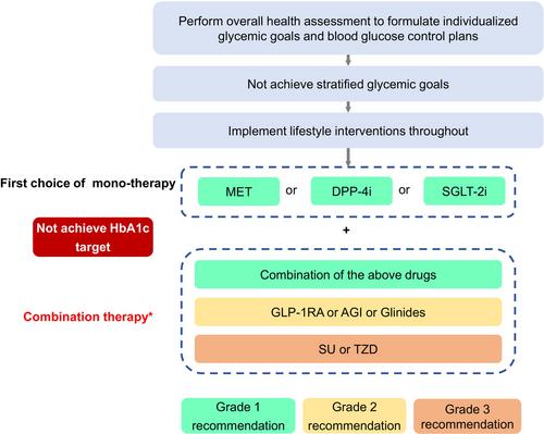 Guideline for the Management of Diabetes Mellitus in the Elderly in China (2024 Edition)