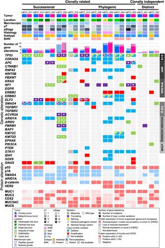 Clonal analysis of metachronous double biliary tract cancers