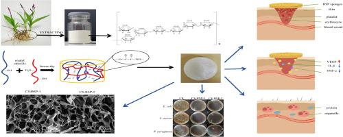 Biocompatible Bletilla striata polysaccharide-based hemostatic sponges enhance wound healing and reduce the risk for infections