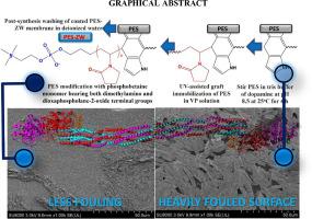 Immobilization of novel synthesized phosphobetaine zwitterions on polyethersulphone (PES) hemodialysis membranes to induce hemocompatibility: Experimental, molecular docking, and ex-vivo inflammatory biomarker investigations