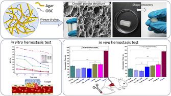 Preparation and assessment of agar/TEMPO-oxidized bacterial cellulose cryogels for hemostatic applications†