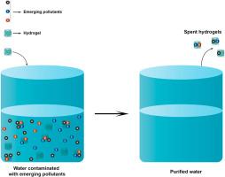 Hydrogel-based materials as antibacterial agents and super adsorbents for the remediation of emerging pollutants: A comprehensive review