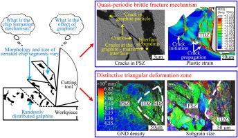 A chip formation mechanism taking into account microstructure evolution during the cutting process: Taking compacted graphite iron machining as an example