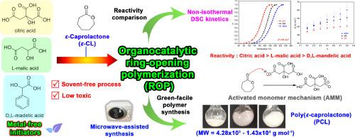 Non-isothermal kinetics of the organocatalytic ring-opening polymerization of ε-caprolactone with metal-free α‑hydroxy acids: Eco-friendly and facile synthesis process