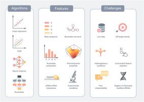 Machine learning for siRNA efficiency prediction: A systematic review