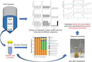 Enhancing synthesis of ethyl lactate in rice baijiu fermentation by adding recovered granular cells