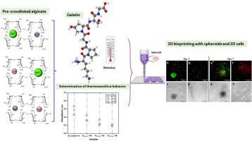 Innovative thermosensitive alginate bioink combining cations for enhanced 3D extrusion bioprinting for tissue engineering