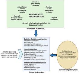 Regenerative rehabilitation measures to restore tissue function after arsenic exposure