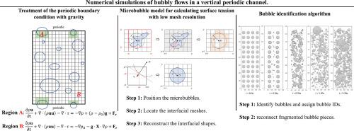 Numerical simulations of bubbly flows in a vertical periodic channel