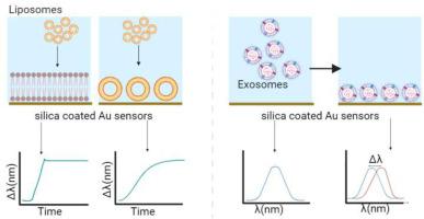 Nanoplasmonic sensing for studies on liposomes and extracellular vesicles