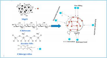 Biosynthesized CS-MgO/zeolite hybrid material: An efficient adsorbent for chlorpyrifos removal - Kinetic studies and response surface methodology