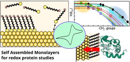 SAM-modified electrodes for understanding and harnessing the properties of redox proteins