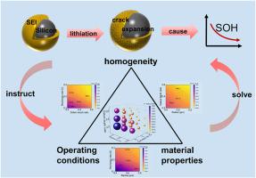 Investigating the failure mechanism of solid electrolyte interphase in silicon particles from an electrochemical-mechanical coupling perspective