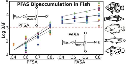 Bioaccumulation of Perfluoroalkyl Sulfonamides (FASA)