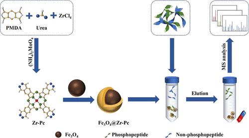 Enrichment of Phosphopeptides Based on Zirconium Phthalocyanine-Modified Magnetic Nanoparticles