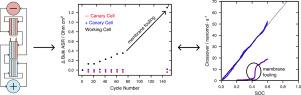 Drivers of membrane fouling in the vanadium acetylacetonate flow battery