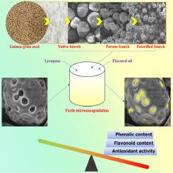 Esterified porous starch from guinea grass seed for enhanced facile microencapsulation of bioactive materials