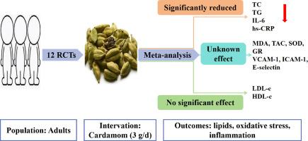 Cardamom consumption may improve cardiovascular metabolic biomarkers in adults: A systematic review and meta-analysis of randomized controlled trials