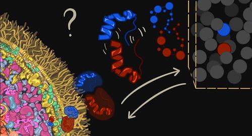Computational Approaches to Predict Protein–Protein Interactions in Crowded Cellular Environments
