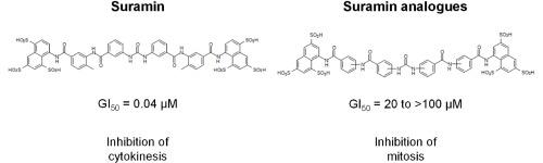 Suramin: Effectiveness of analogues reveals structural features that are important for the potent trypanocidal activity of the drug