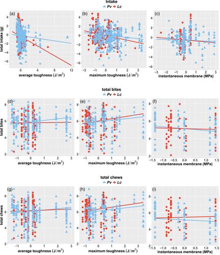 The effects of feeding frequency on jaw loading in two lemur species