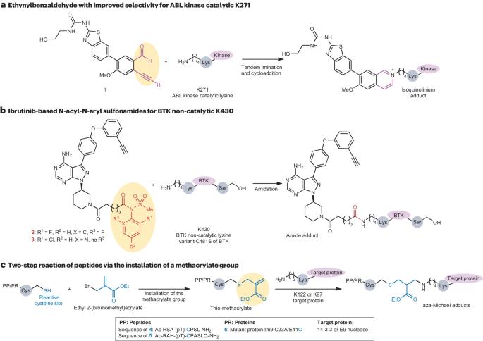 Tying the knot with lysine