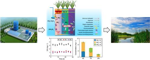 Ecological filter walls for efficient pollutant removal from urban surface water