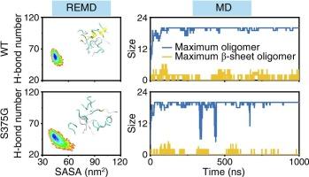 Dissecting the effect of ALS mutation S375G on the conformational properties and aggregation dynamics of TDP-43370-375 fragment